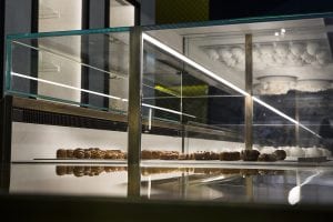 Chocolate Display Case