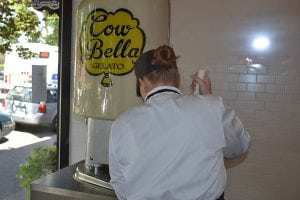 Cow Bella Effe