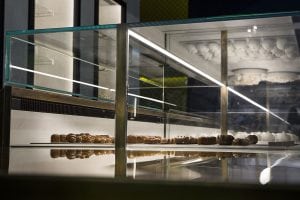 A glass display case in a bakery or café shows a row of neatly arranged pastries on a reflective surface, with more baked goods visible in the background. The setting appears modern and well-lit.