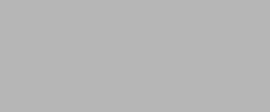 A plain, solid light gray background with no visible objects, patterns, or text.