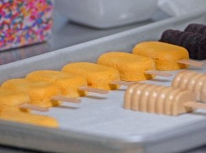 Gelato Making Class Training