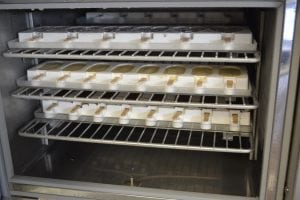JOF-ONE Blast Chiller Interior with Frozen Dessert Pops