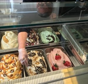 Frozen Gelato Display Case - Pugnuts