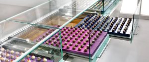 Rows of assorted chocolate truffles are displayed in a glass case on colorful trays, with each tray holding neatly arranged chocolates in various flavors and decorations.